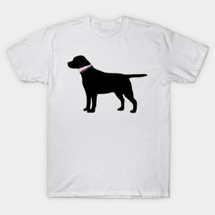 Black Lab Preppy Silhouette T-Shirt